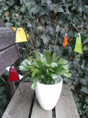 Markéta Haflantová - Ptáci Marhabáci